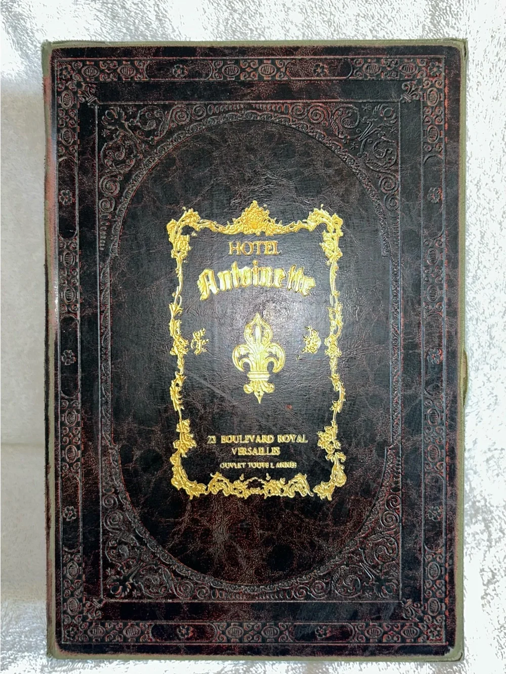 Large Storage Book/ Box